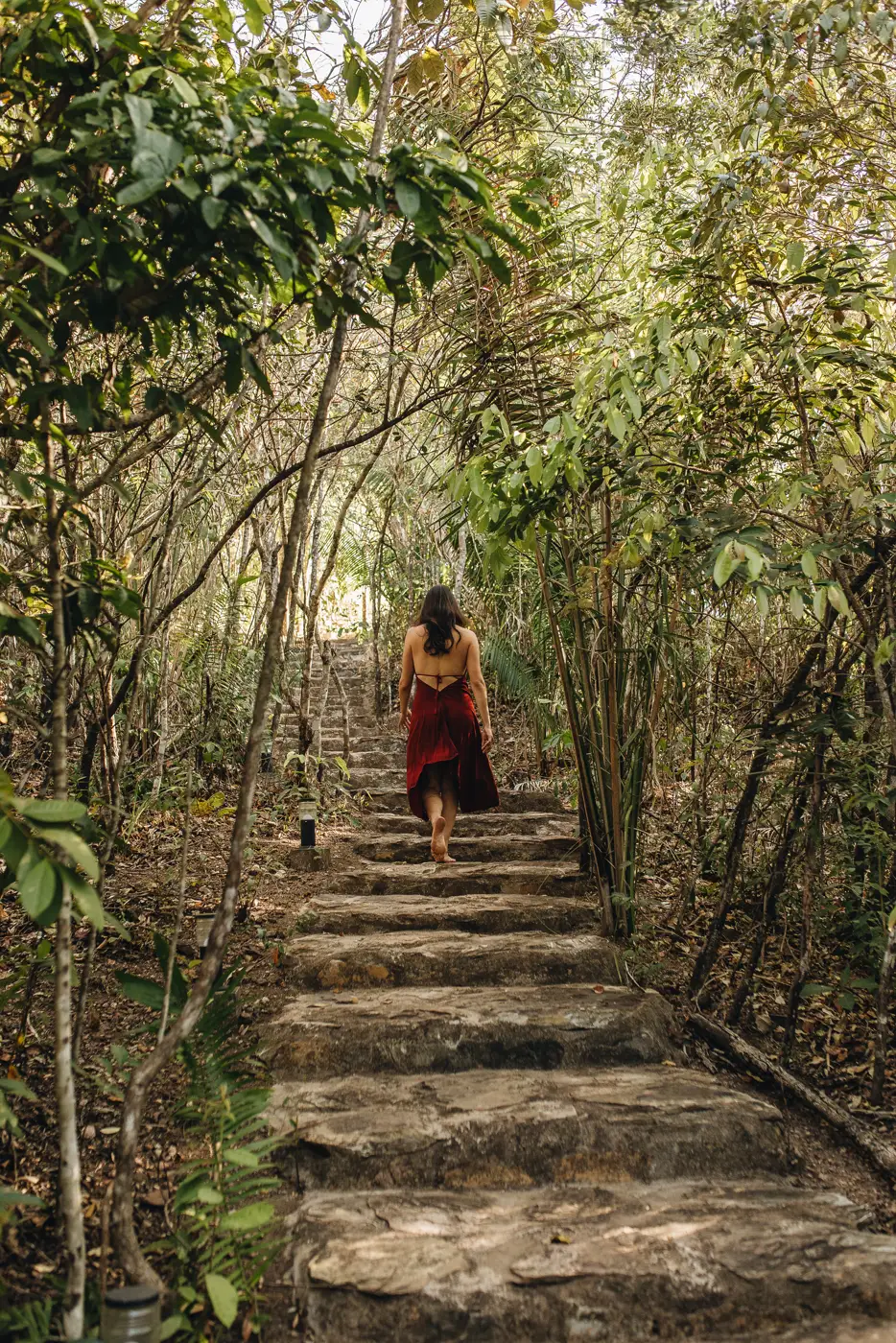 Stone steps through the forest at Ashiyana Brasil