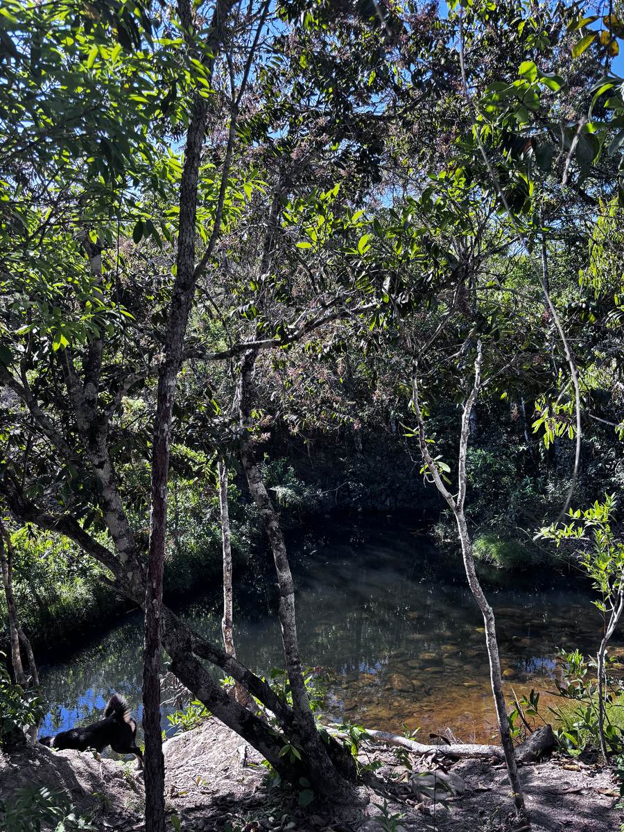 A powerful waterfall in Chapada dos Veadeiros