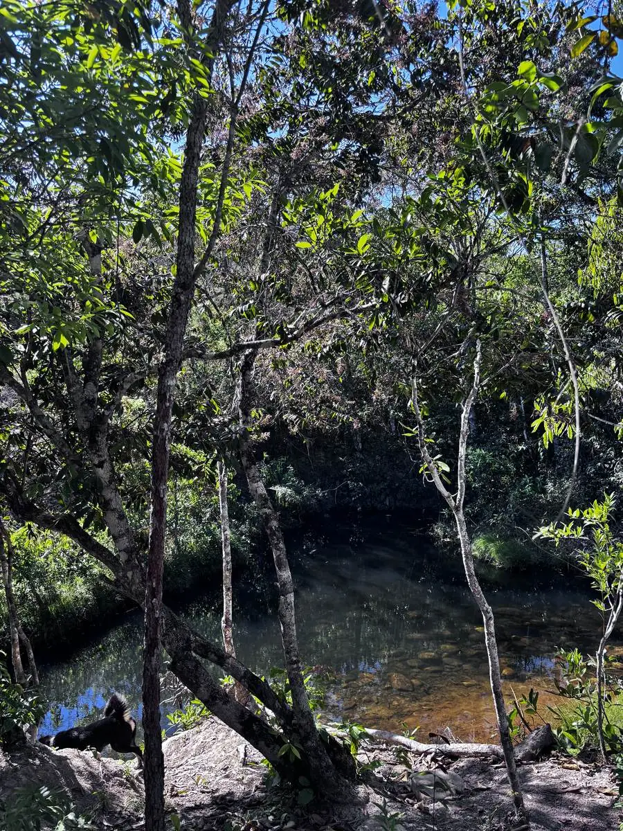 A powerful waterfall in Chapada dos Veadeiros
