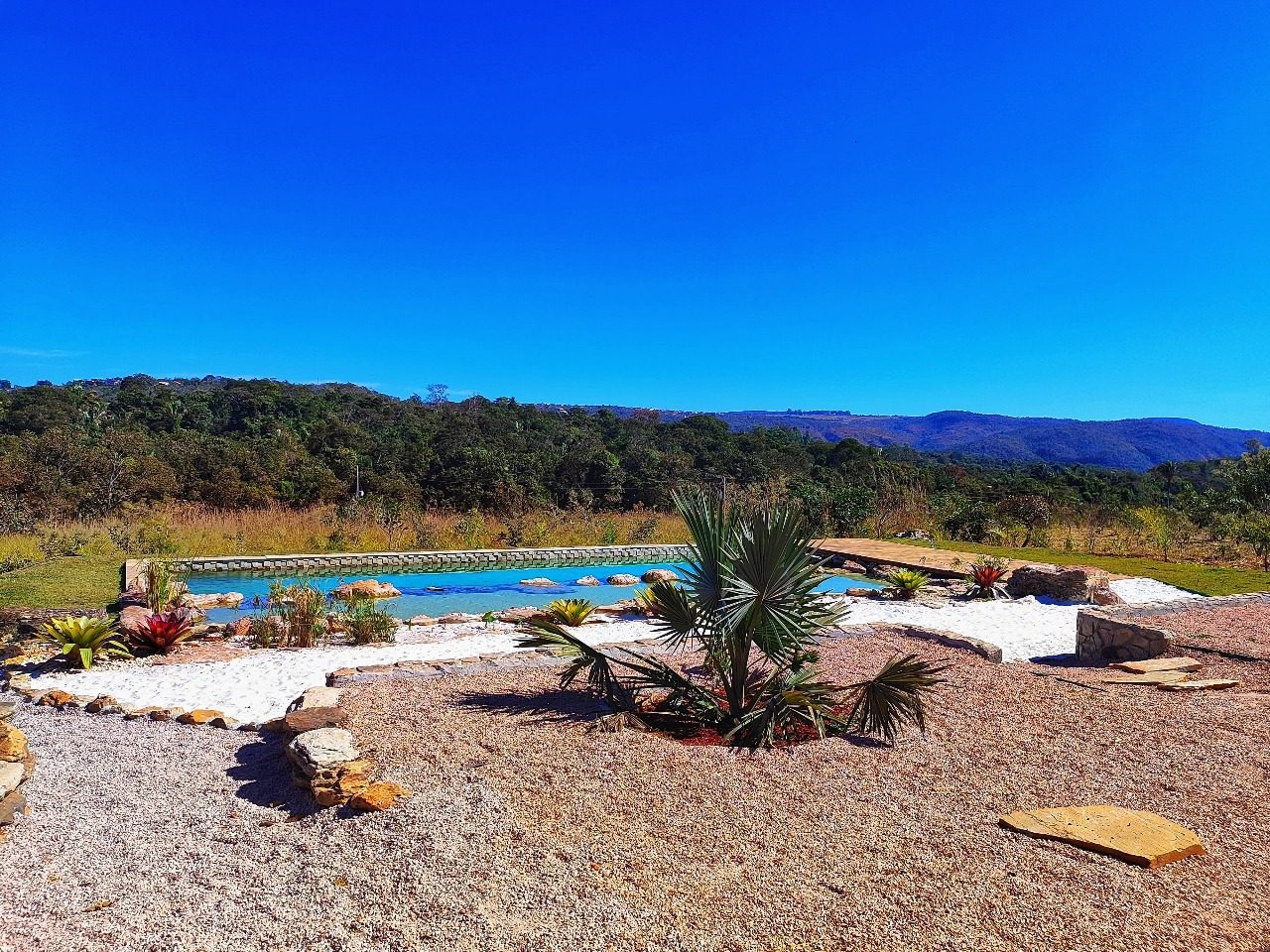 Cerrado preservado da Chapada dos Veadeiros