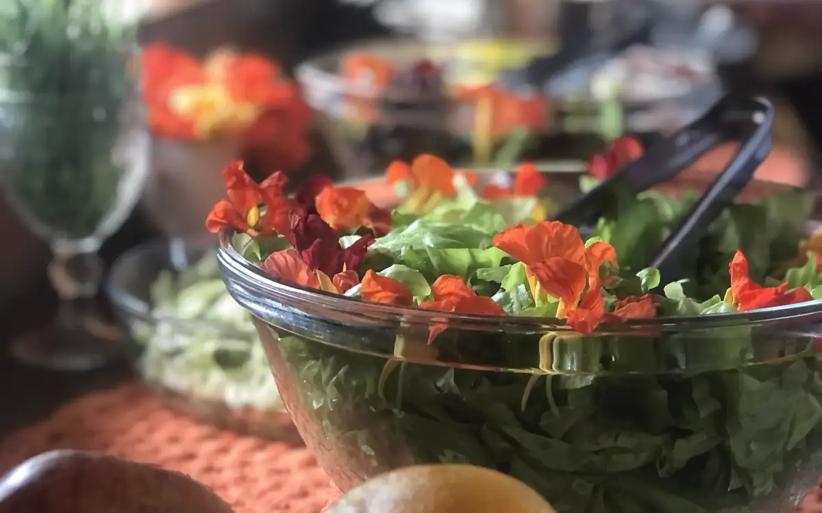 Colourful garden salad with edible flowers
