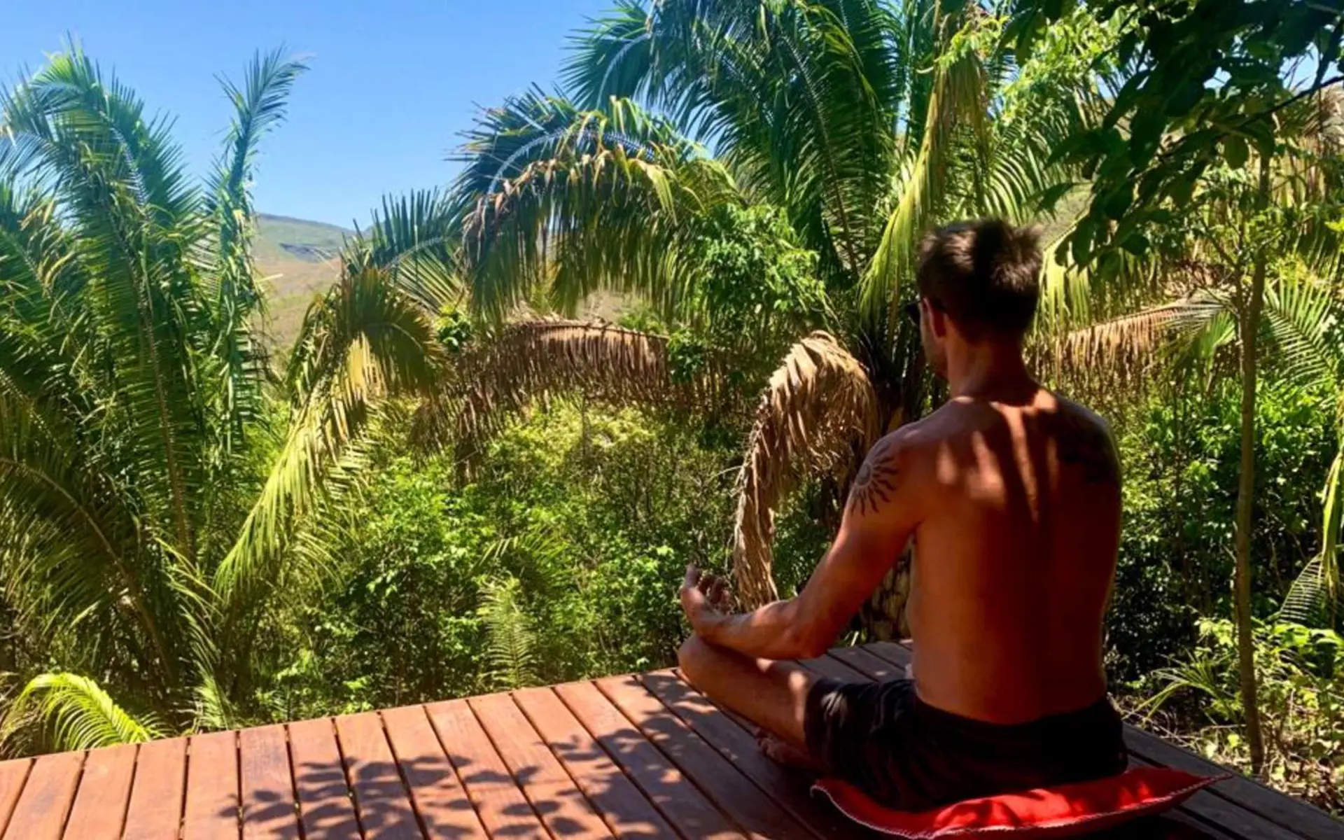 Meditation among the palms